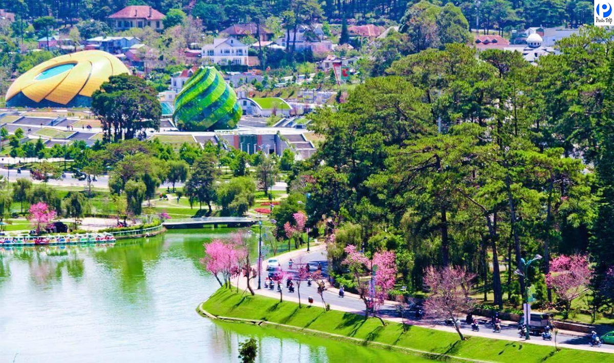 Đà Lạt 3 Ngày 2 Đêm